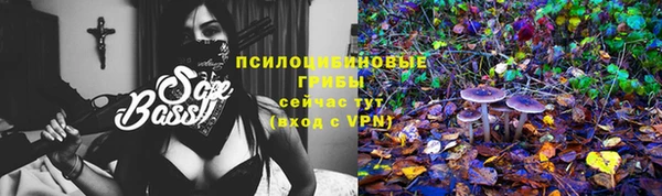 синтетический гашиш Алексин