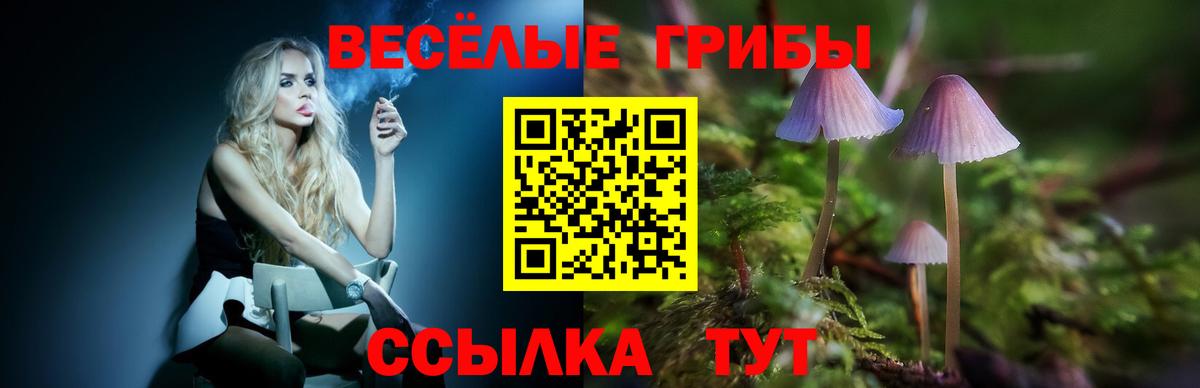 Псилоцибиновые грибы ЛСД Кимры